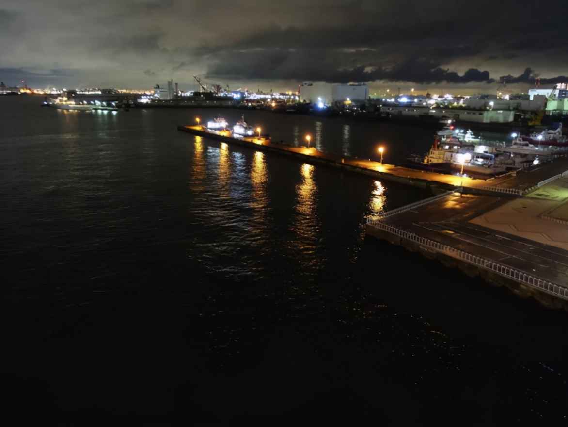 青竹鱼钓法和饵料,日本竹荚鱼的做法