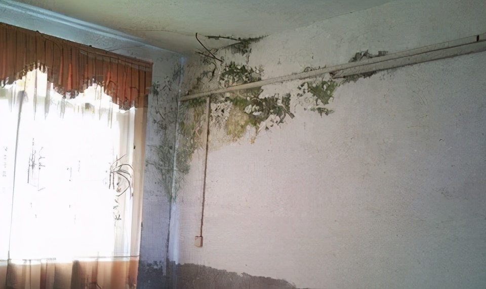 卫生间漏水用哪一种防水修补材料,防水补漏房屋漏水教程