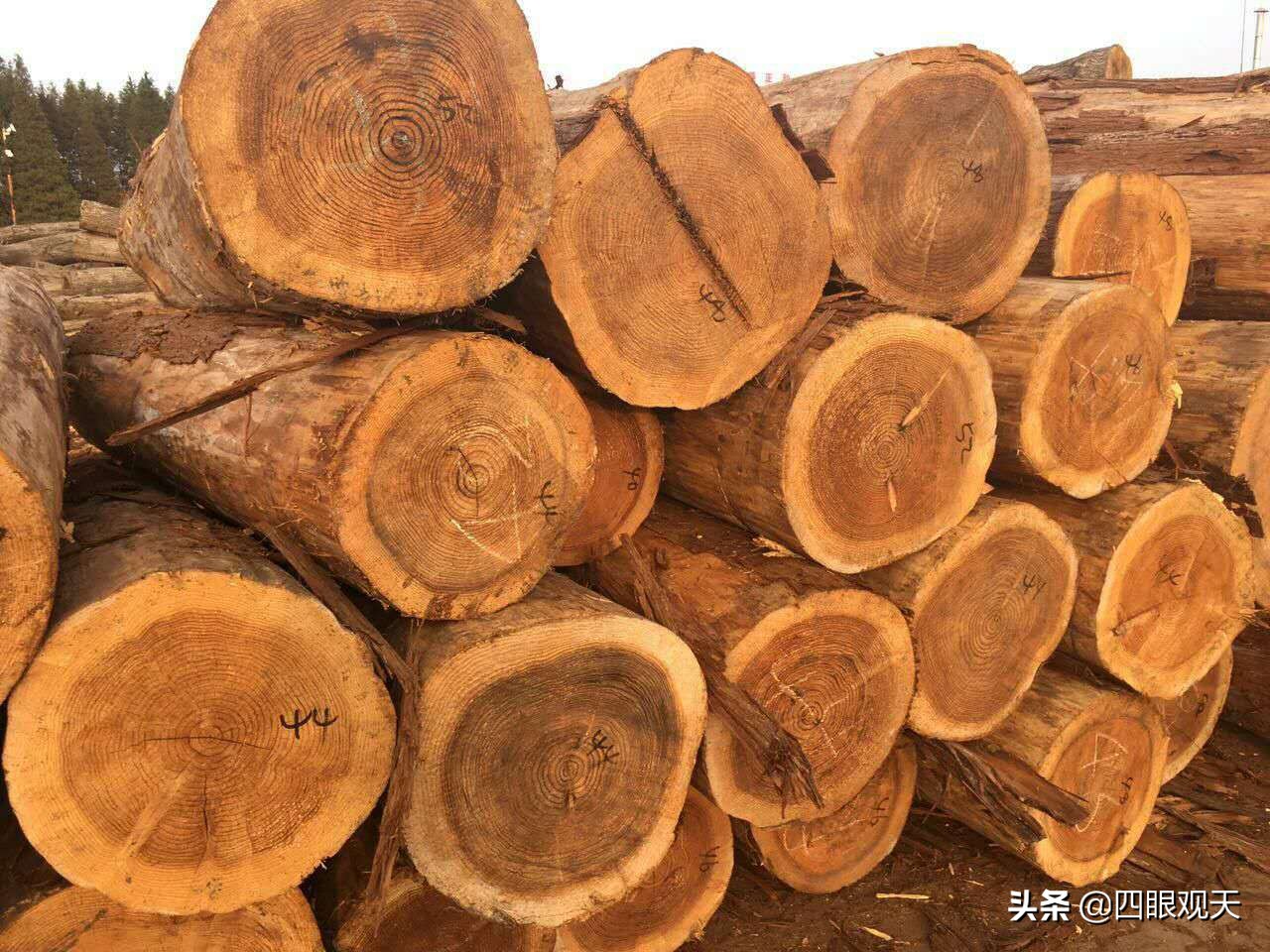 多尔衮最后什么结局,冷眼看红楼荣国府