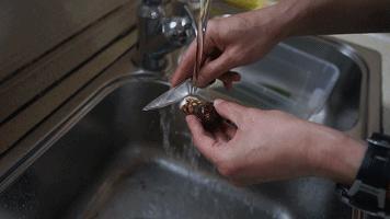 新鲜松茸的正确清洗方法图片,松茸正确的储存方法和清洗