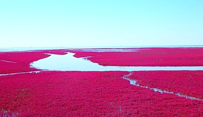 中国红海旅游攻略自由行,中国看大海去哪里旅游