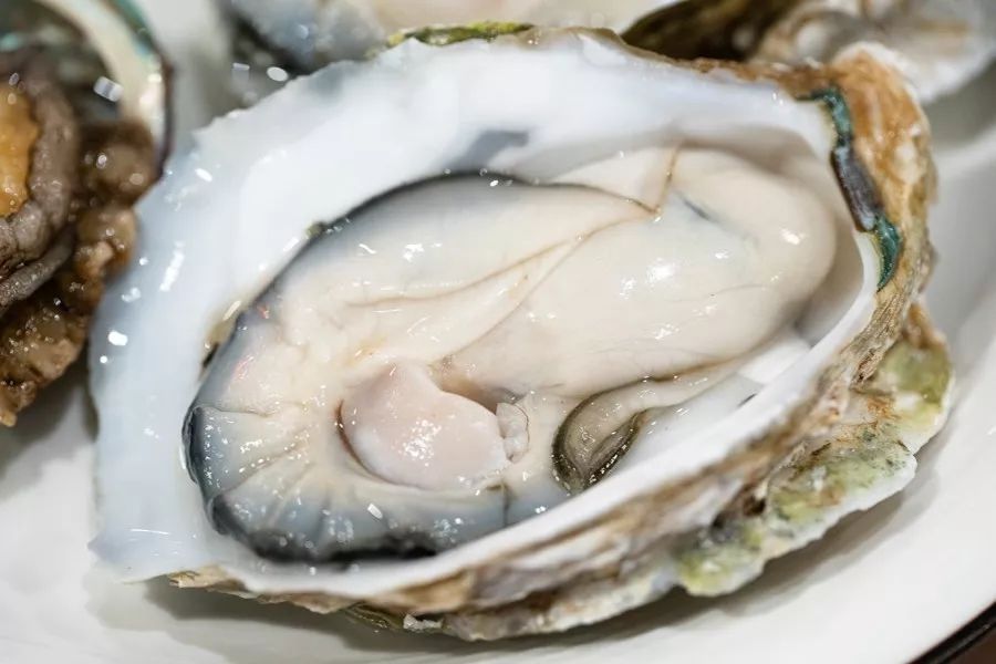 这家噗噗噗的粥底火锅店，稳就一个字