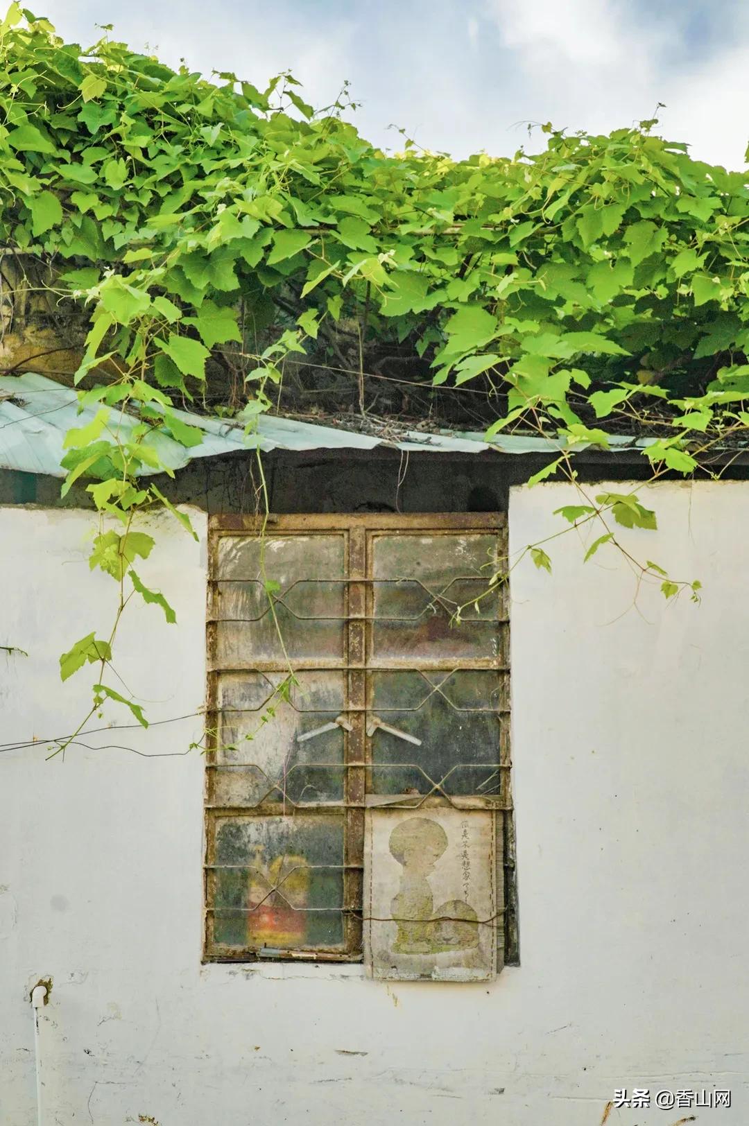 珠海鲜为人知的一面,珠海有名的花园