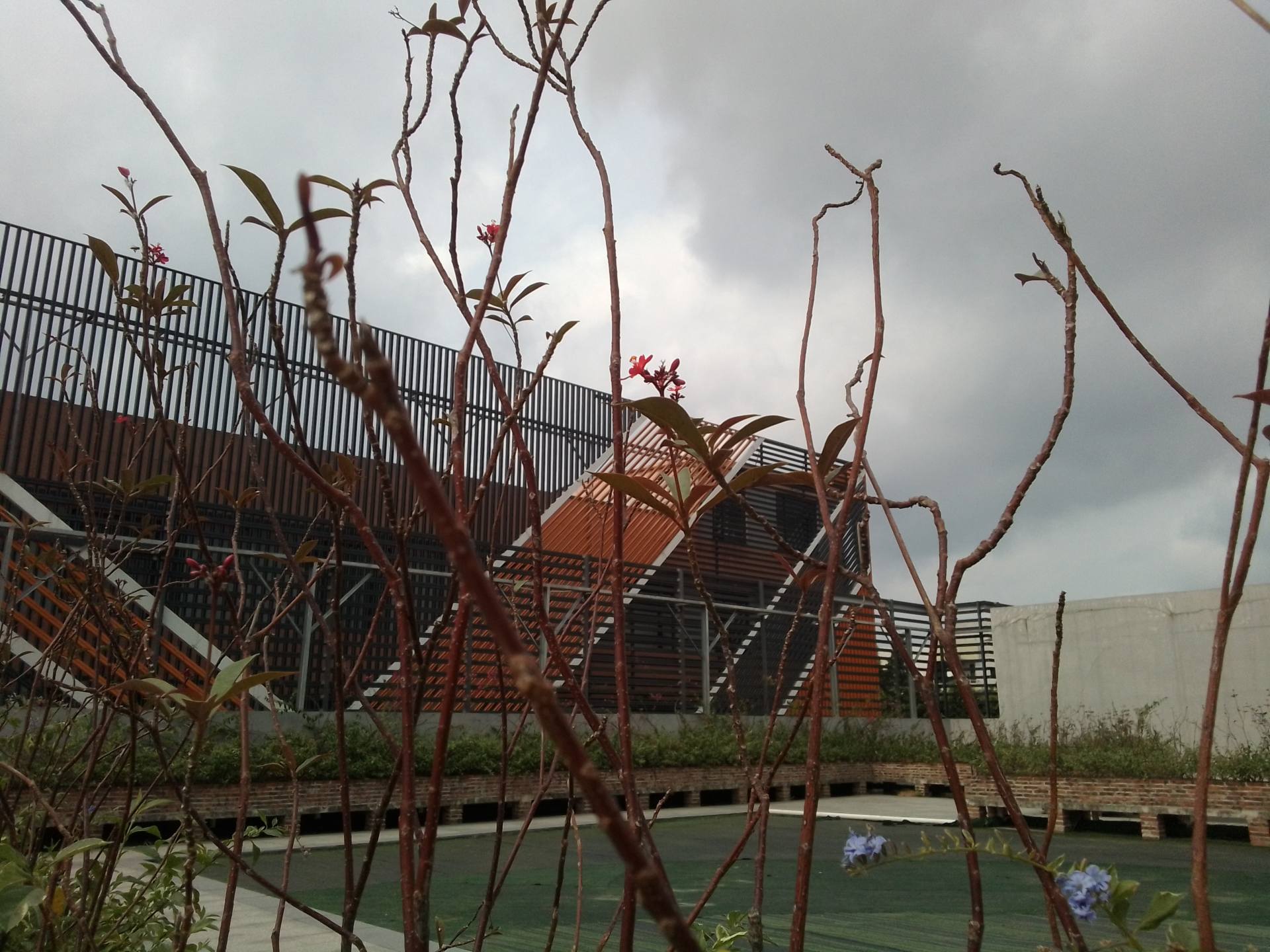 台电t40pro深度评测,台电t40平板怎么样