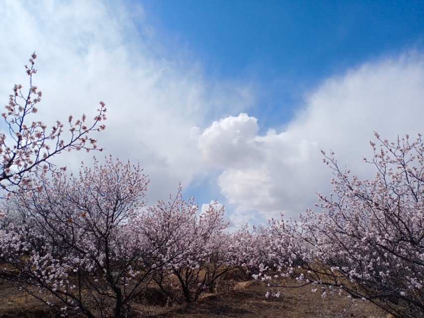 浮云电影,浮云散邓丽君原唱视频