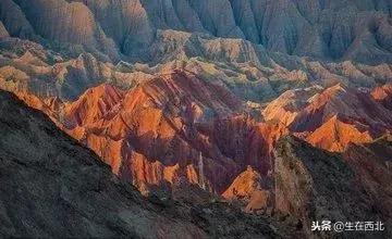 沙漠千年胡杨林,沙漠公路看胡杨林