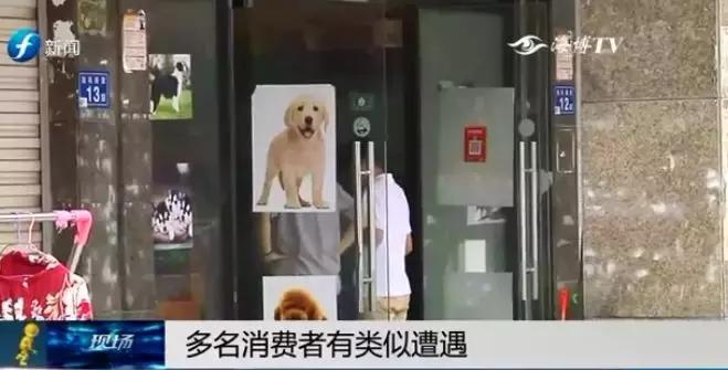 宠物狗买回来过几天病死怎么维权,厦门宠物店