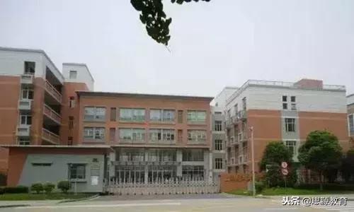 上海民办学校张江中学,上海张江中学是第几梯队