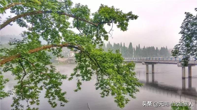 你好我叫王思聪微博截图,你好我叫阿杰