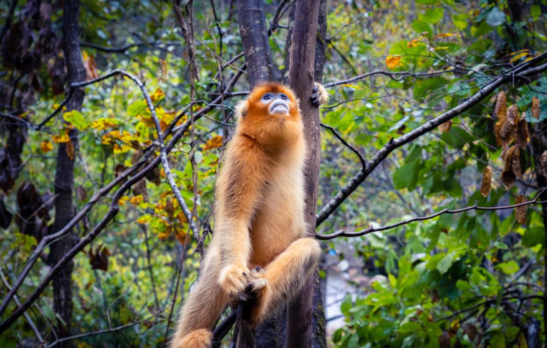 9月国内最美的10个最佳旅行地推荐,金秋十月寻找最美旅行地