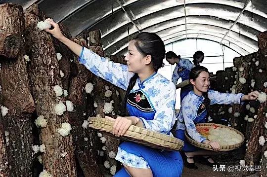 今天，我要夸夸我的通江县