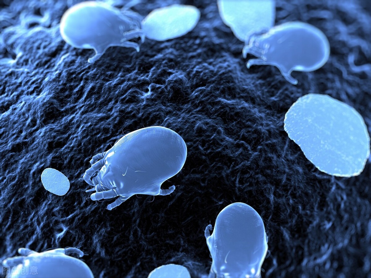 鼻子挤出细小的白条是什么,鼻子旁边挤出白条怎么治疗