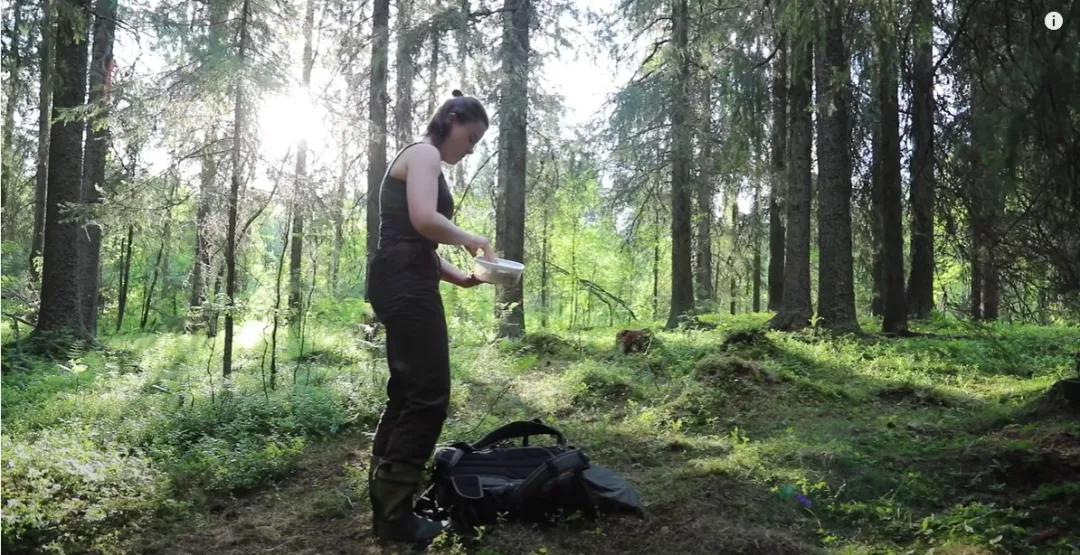 葬礼当天，她成为了四个孩子的“后妈”，网友：这是童话故事吧