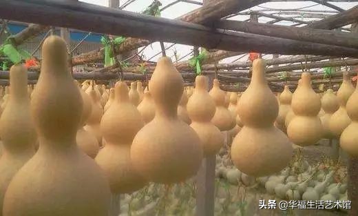 10000买股票能赚多少钱,10000元买股票