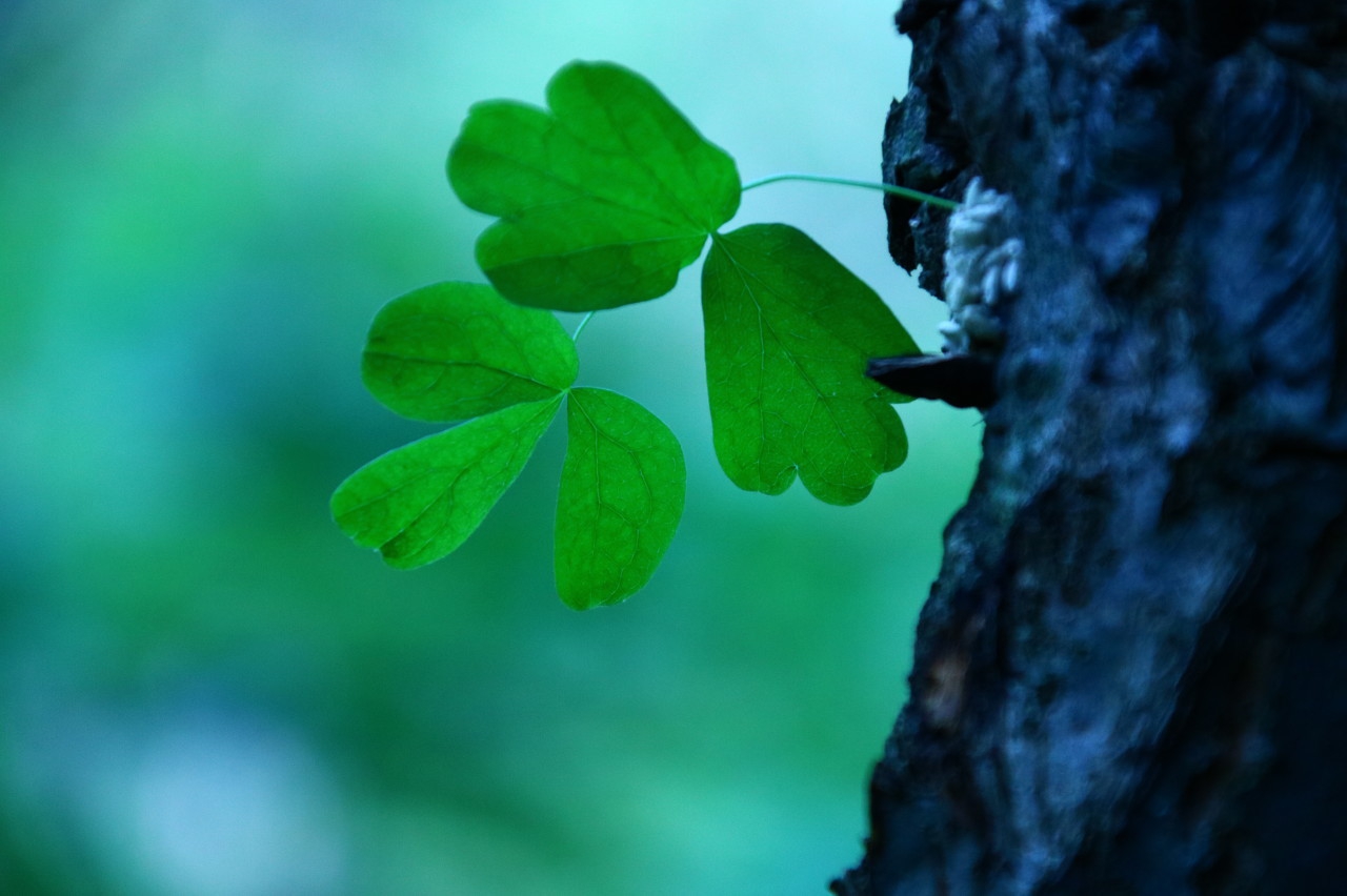 中考文学常识必考知识归纳,中考语文文学常识100题汇总附答案