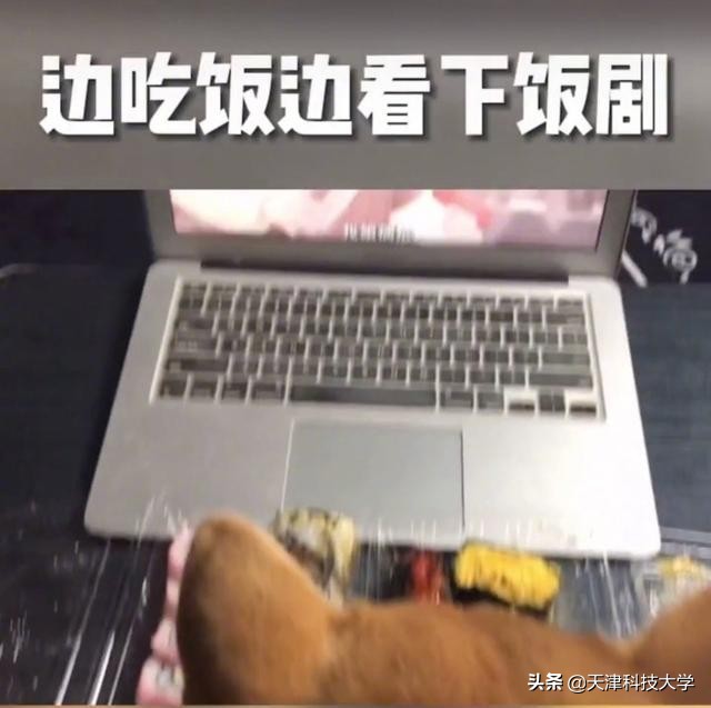 大学生生活真实案例,大学生真实生活实录