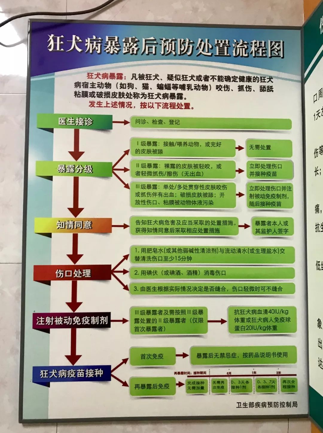 被狗咬出血的伤口怎么处理,被狗咬出血了怎么处理