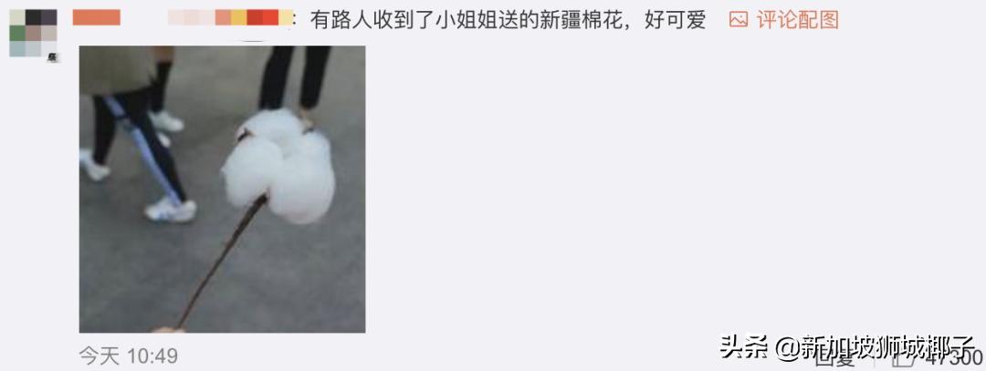 亚马逊下架所有新疆棉制品,美国亚马逊下架中国棉织品