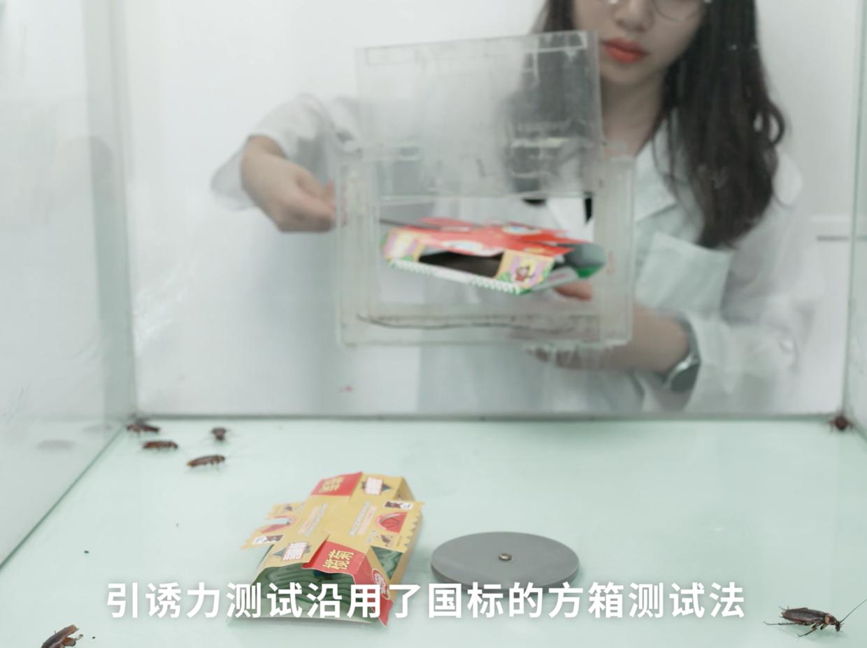 家中厨房蟑螂多怎么消除,家中有蟑螂怎么一网打尽
