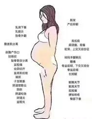 如果有人嘲笑你胖该怎么反击,假如有人嘲笑你瘦该怎么回答