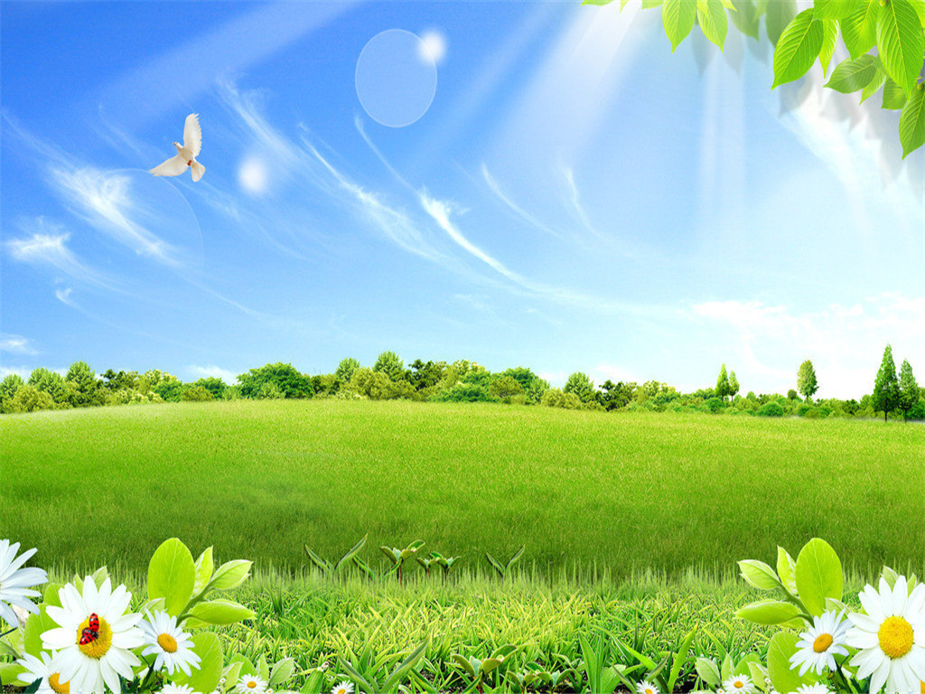 最美的护眼桌面壁纸,超清晰2340x1080曲面屏护眼壁纸