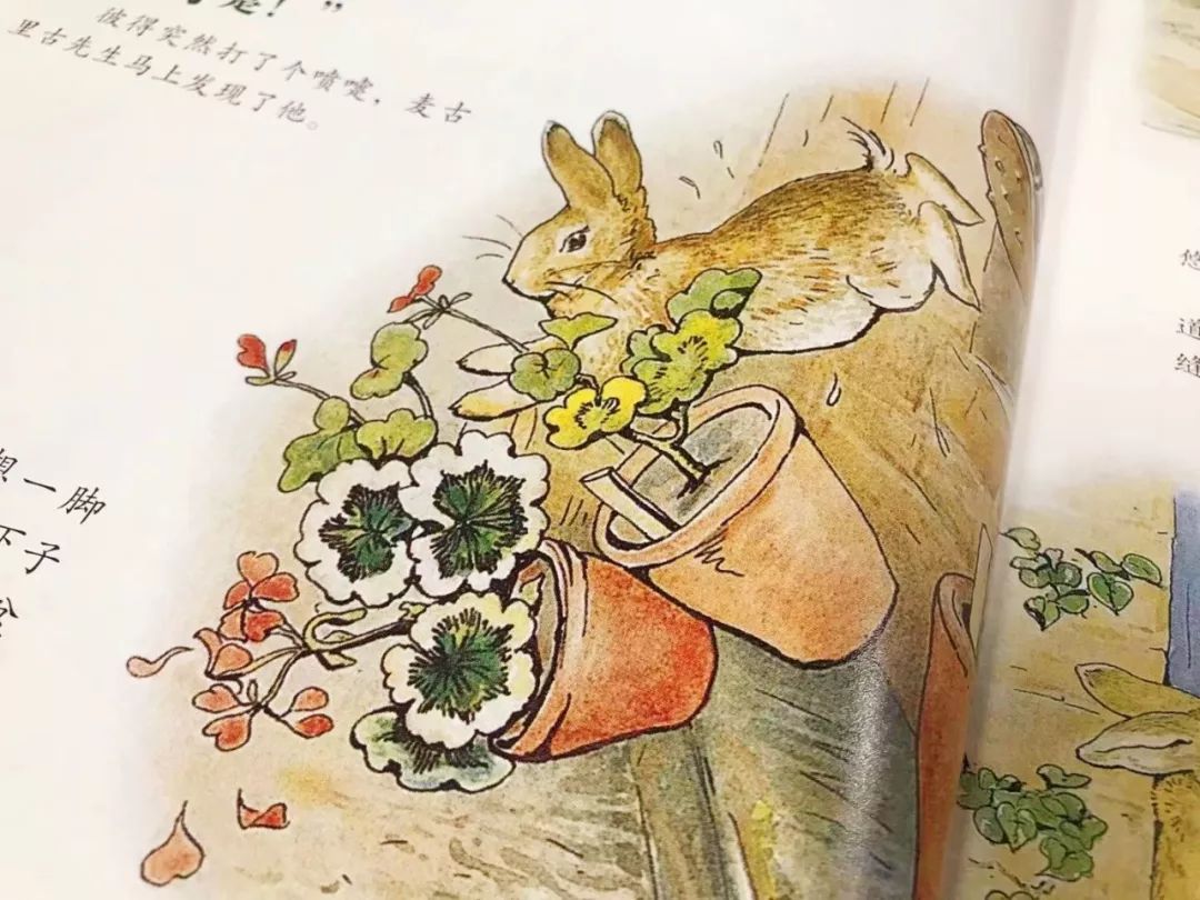 经典童话书怎么选?这份书单不仅孩子爱读,还能学英语