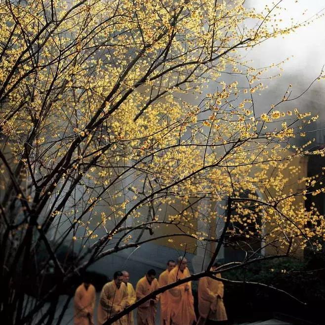 18句佛语禅心经典语录,深刻透彻,撑不下去了看看