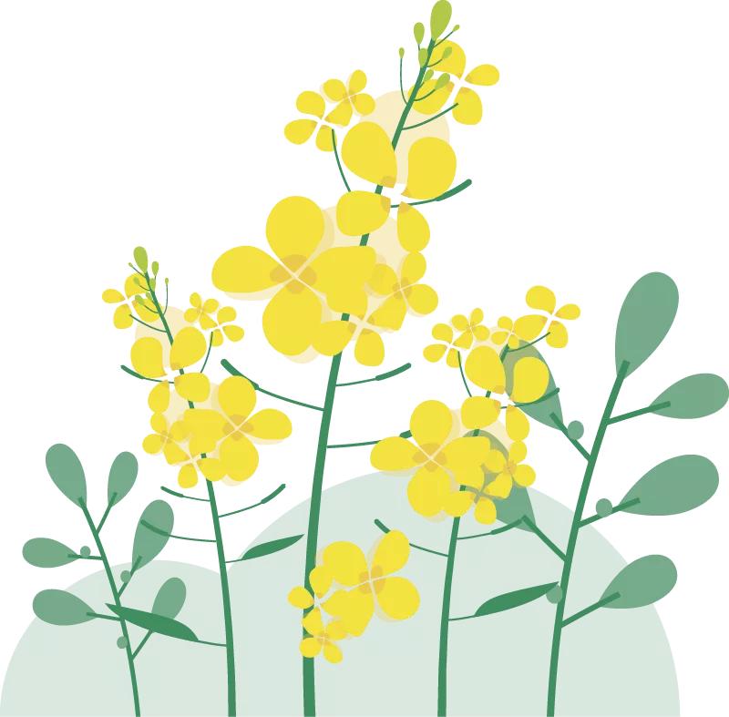 师生心理疏导和教育教学衔接,中小学衔接教育活动