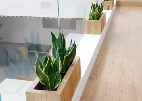 甲醛接触多久会得白血病,甲醛闻多久会得白血病