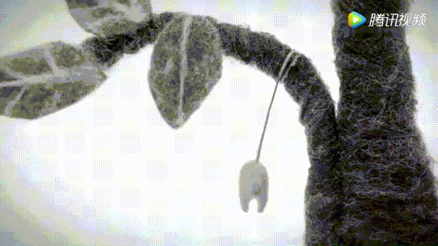 2023年奥斯卡最佳动画,2022奥斯卡最佳动画