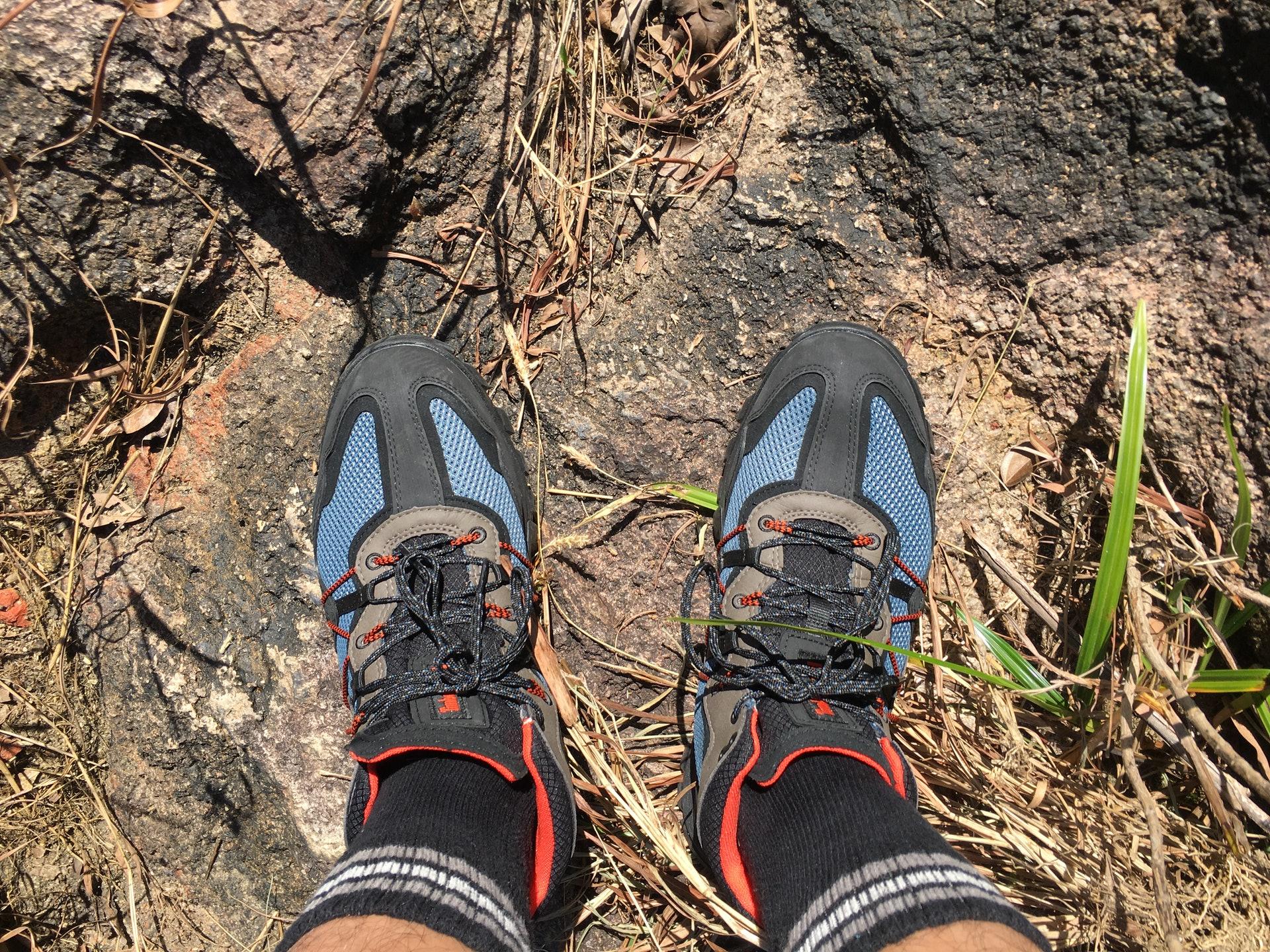 穿不烂的布洛克,timberland添柏岚低帮鞋