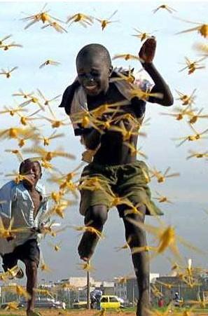 古代的灾难是从天而降吗,古代如何应对灾难