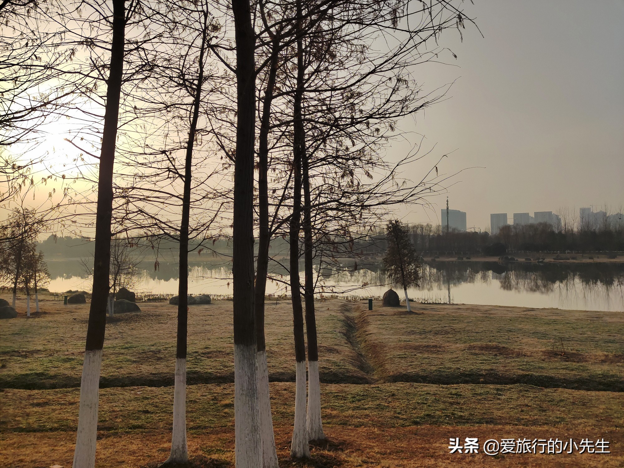 合肥滨湖生态新城区,合肥新的滨湖新区