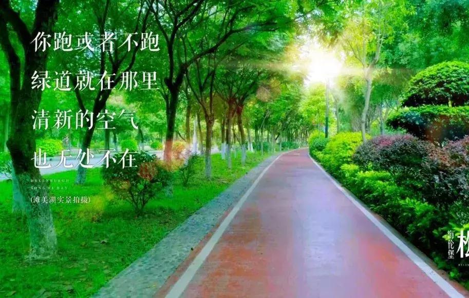 房有道正能量,房有道团购