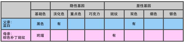 猫咪颜色遗传规律动画,猫咪颜色遗传规律