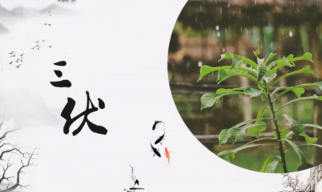 三伏炎热解暑方法,三伏天如何降温解暑的