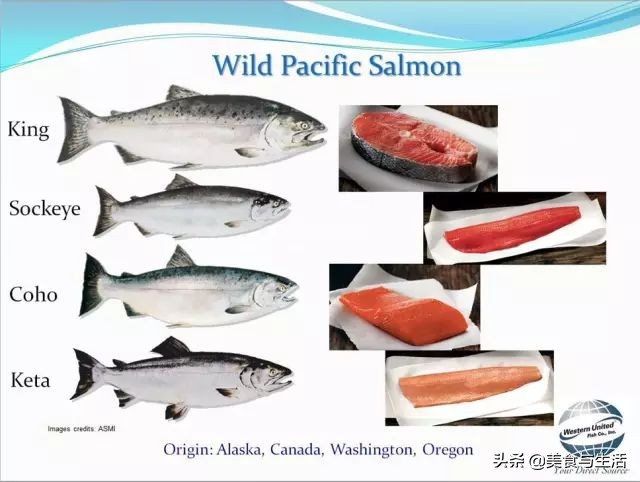 进口挪威三文鱼是冷鲜的吗,挪威三文鱼能放心吃吗