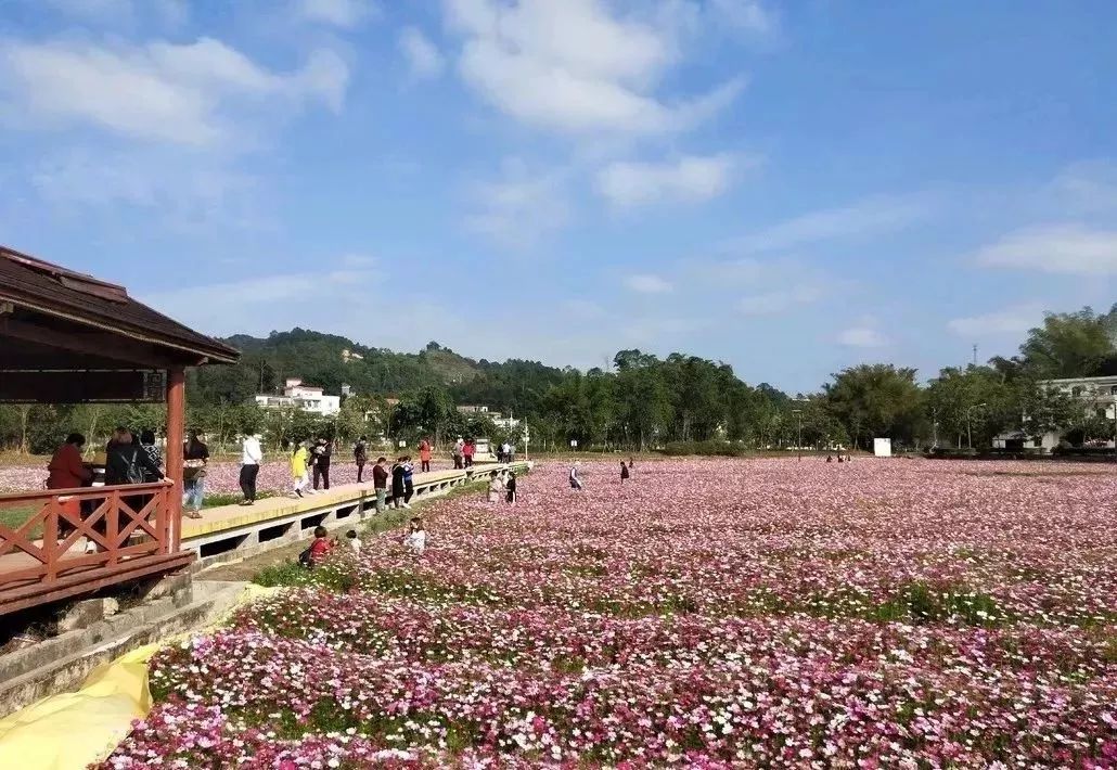 广州隐藏着一个碉楼村,广州有哪些隐藏的景点