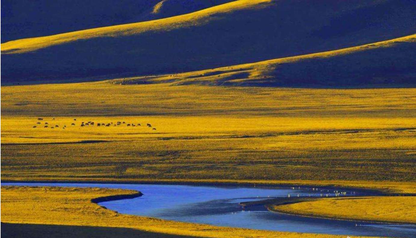 和静县乌拉斯台天鹅,新疆天鹅湖畔美丽风光