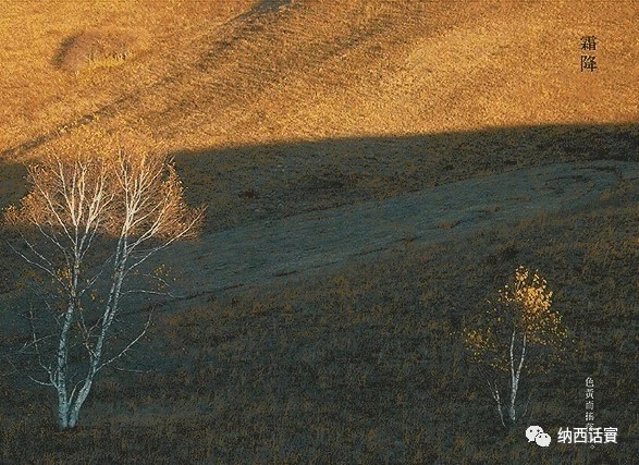 杨杰宏：霜降了，别着凉