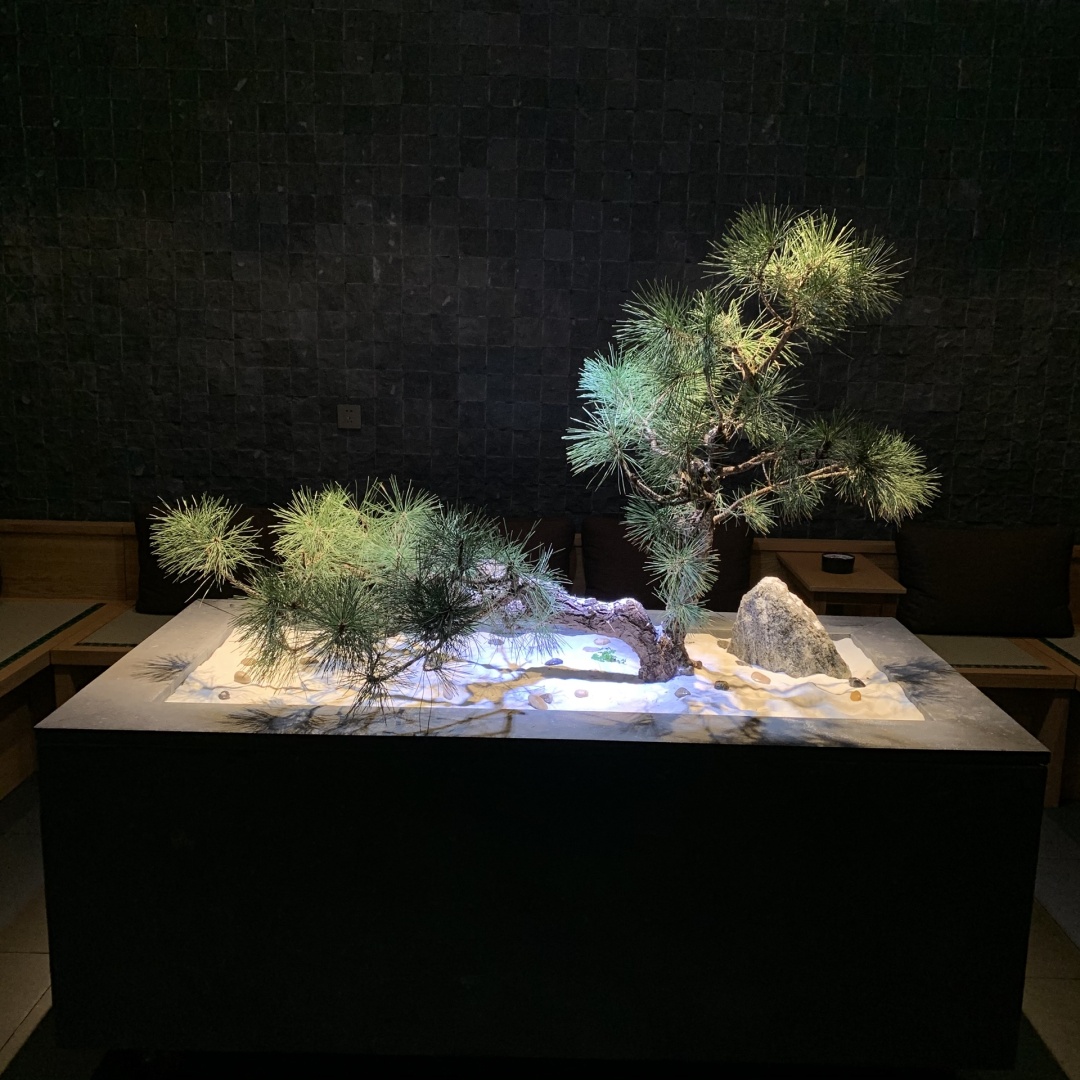 长春日料团购4人套餐,长春日料店排行榜前十名