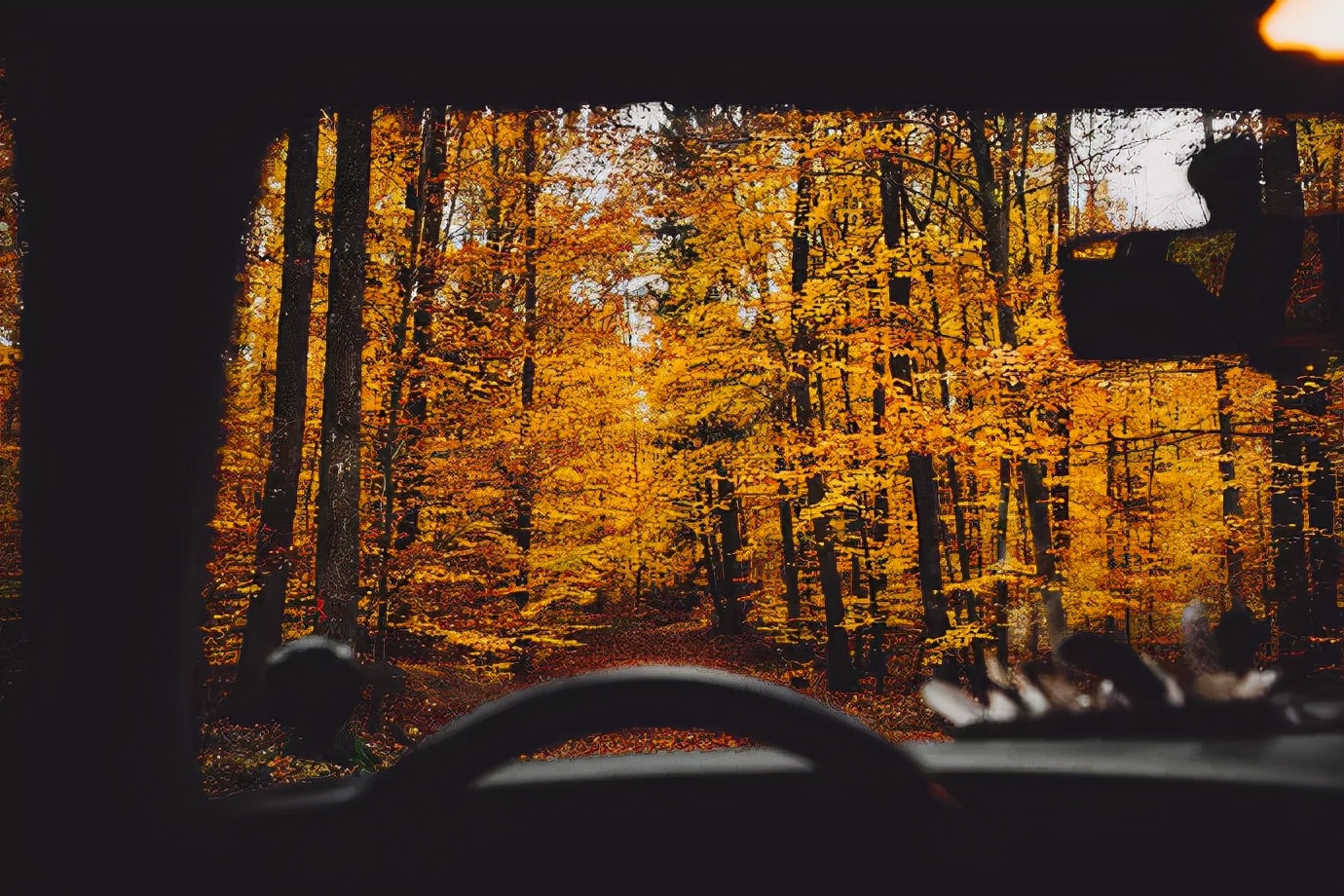 秋色正艳|掌握这6个小技巧，教你拍出绝美秋景