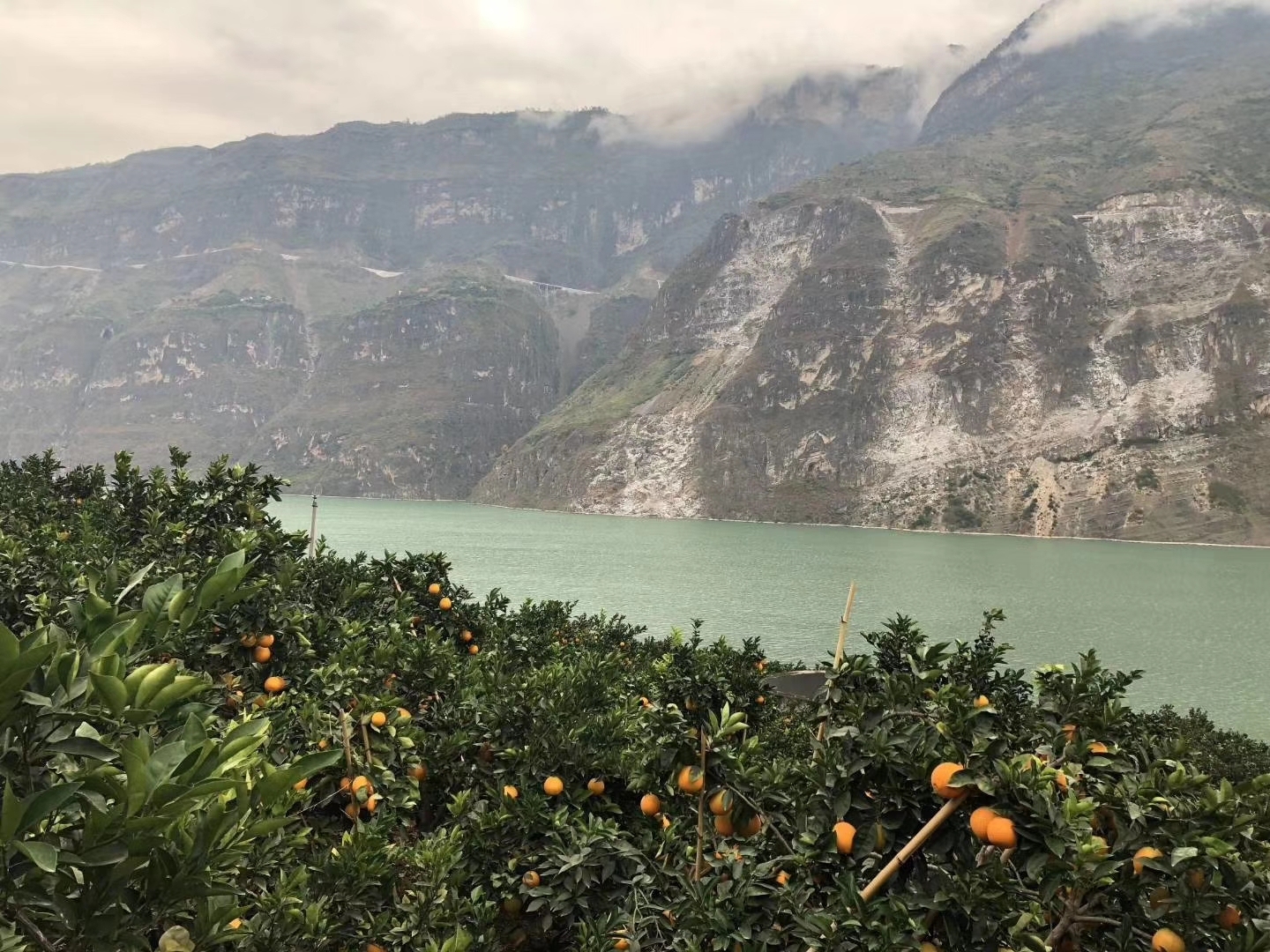 全球十大名橙排名,国内外名橙