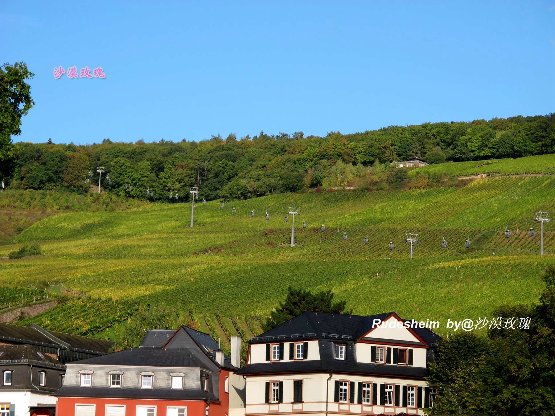 莱茵河葡萄酒小镇,莱茵河畔的葡萄小镇