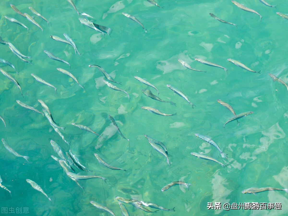 斯里兰卡自由行旅游攻略,自由行旅游攻略三天国内