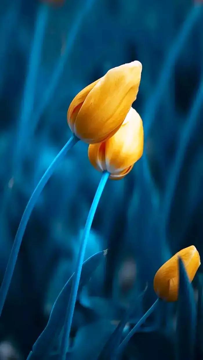 情感语录有些人看清了也就看轻了,情感语录句句穿透人心这就是生活