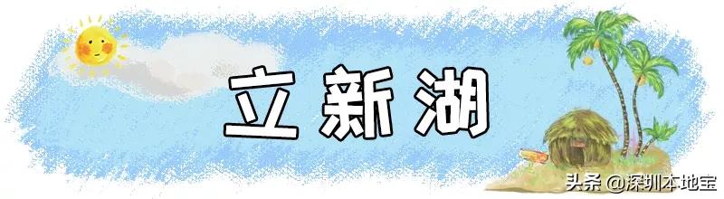 深圳完全免费的十大景点,深圳10大免费景点上集