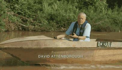 希望疫情早点结束能陪孩子多走走,待疫情彻底过去