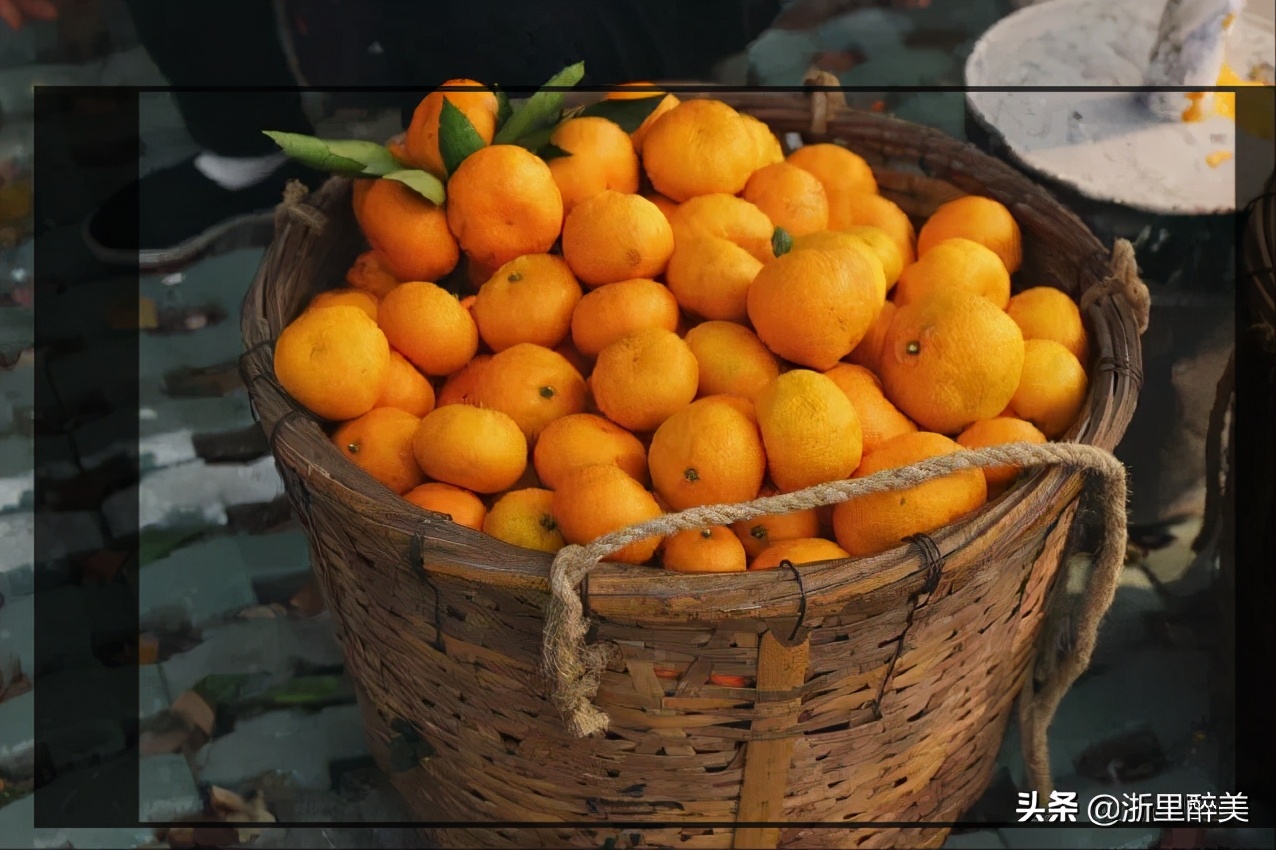 《橘子红了》拍摄地风光正当时！苏州吴中东山美食美景等你来