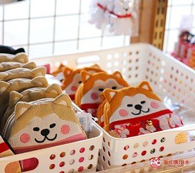 秋田市旅游,秋田一日游最佳去处